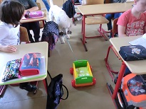 sh2.jpg